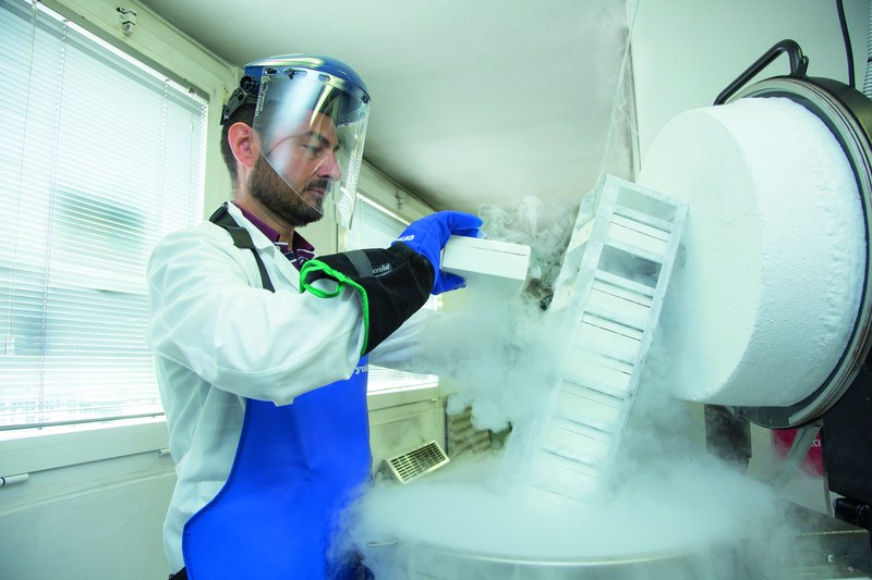 Cryobiology Rooms and Biobanks